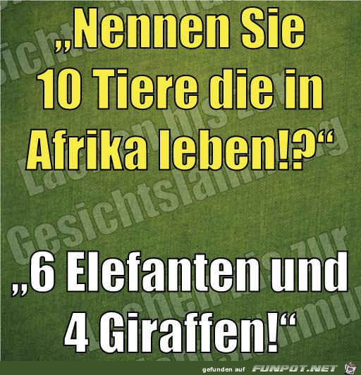 tiere tiere