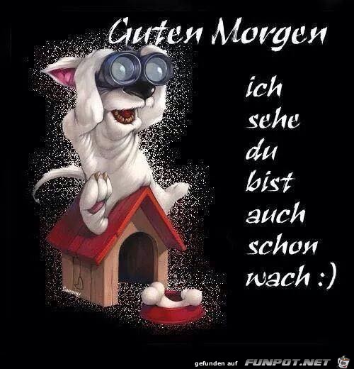 Guten Morgen 