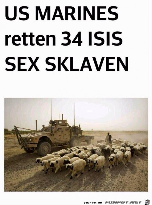 isis isis