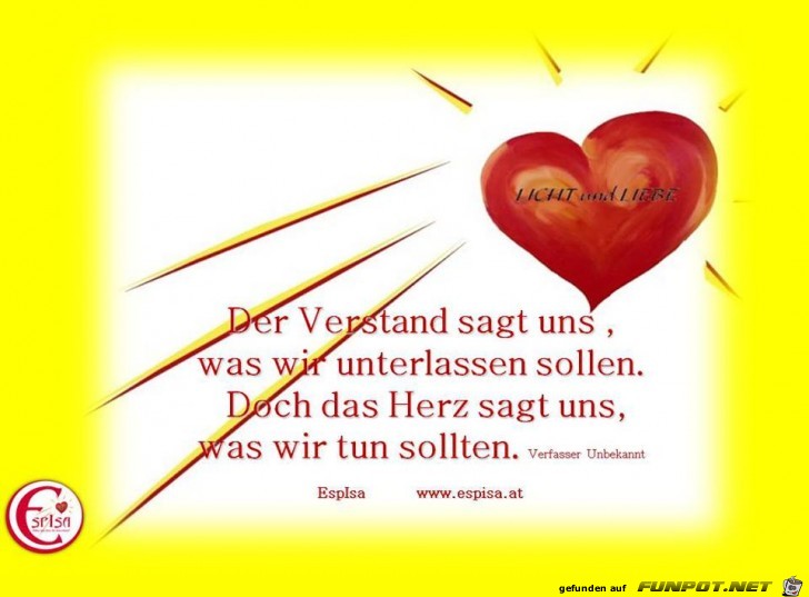 Der Verstand sagt uns