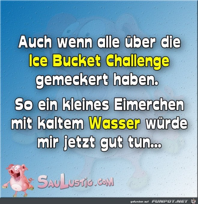 Ice Bucket Challenge Ice Bucket Challenge