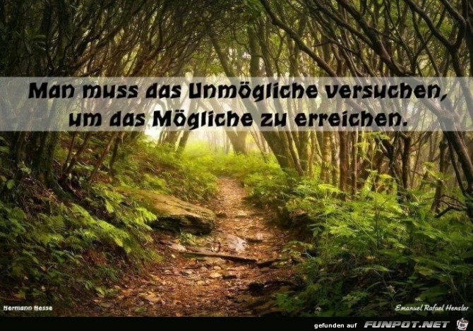 MAN MUSS DAS UNMOeGLICHE MAN MUSS DAS UNMOeGLICHE