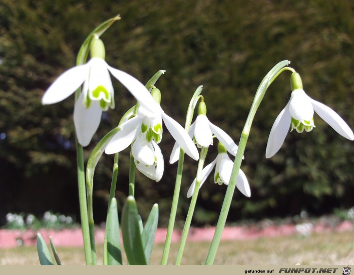 Hier noch ein kleiner Blickauf unsere Wiese