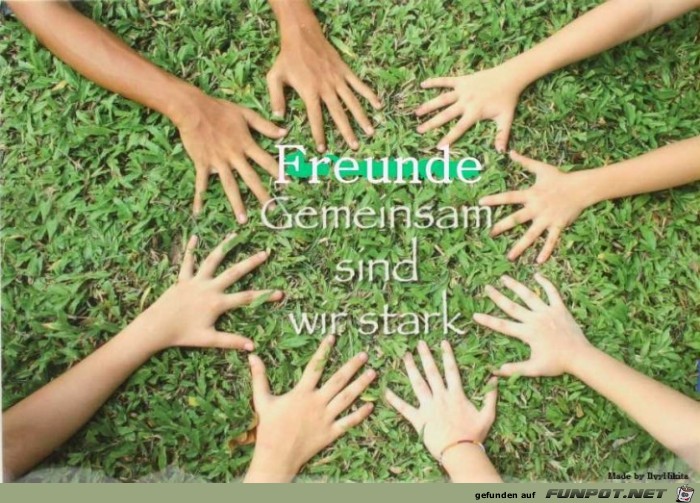 Freunde gemeinsam sind wir stark