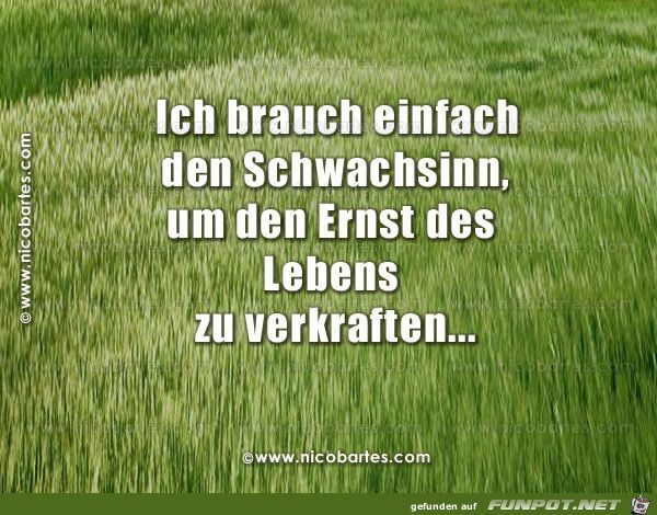 Schwachsinn Schwachsinn