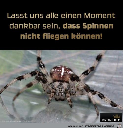 Moment dankbar Moment dankbar