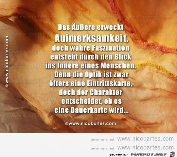 Das Aeussere erweckt Aufmerksamkeit Das Aeussere erweckt Aufmerksamkeit