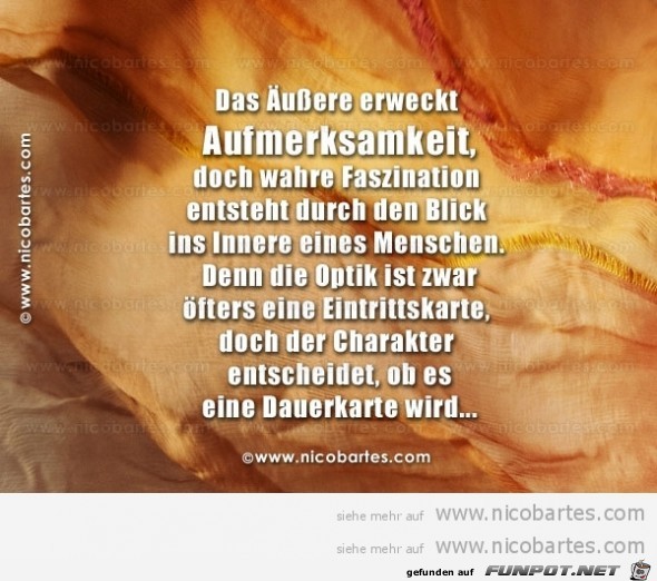 Das Aeussere erweckt Aufmerksamkeit