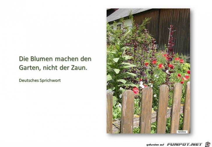 die blumen machen