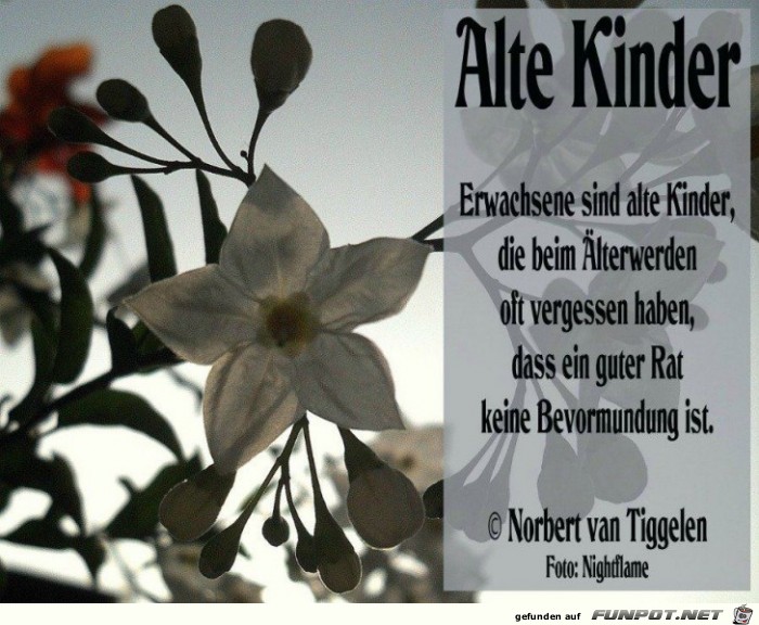 alte Kinder