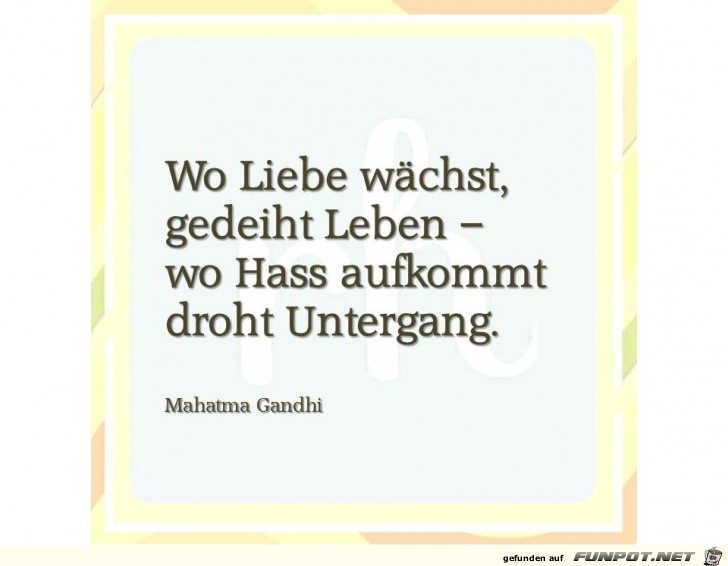 wo liebe waechst wo liebe waechst