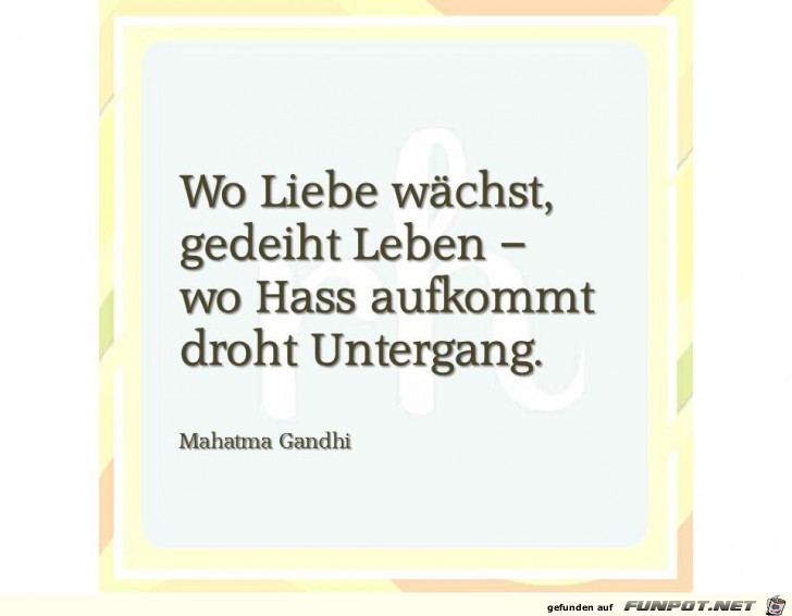 wo liebe waechst