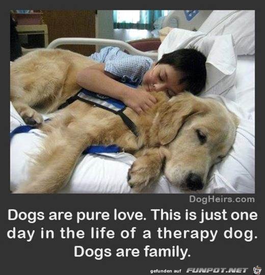 Hunde sind die besten Leute!