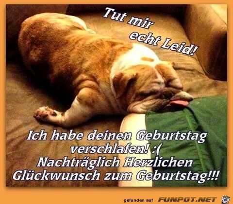 tut mir echt leid tut mir echt leid