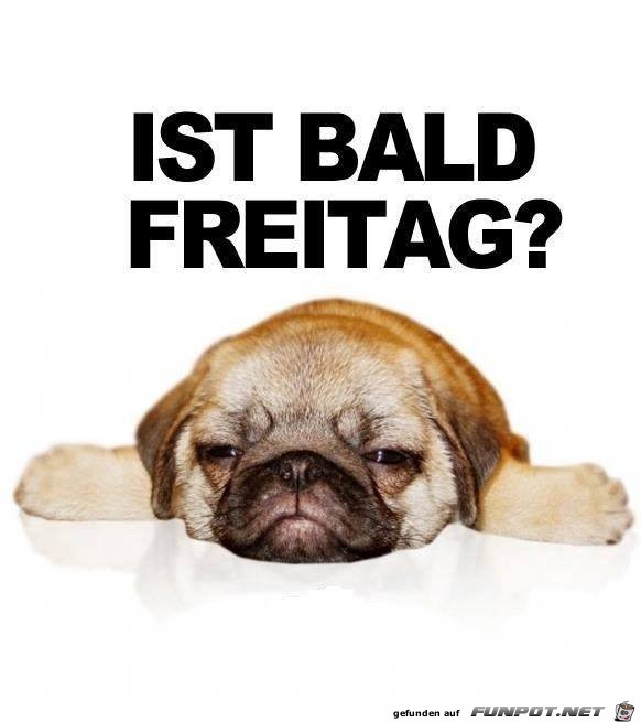 Freitag