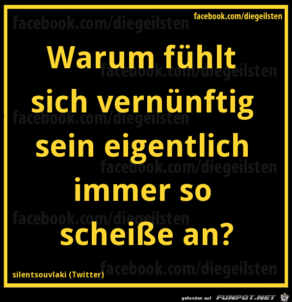 diegeilsten vernuenftig diegeilsten vernuenftig