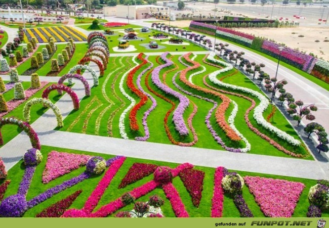 Dubai Miracle Garden 9