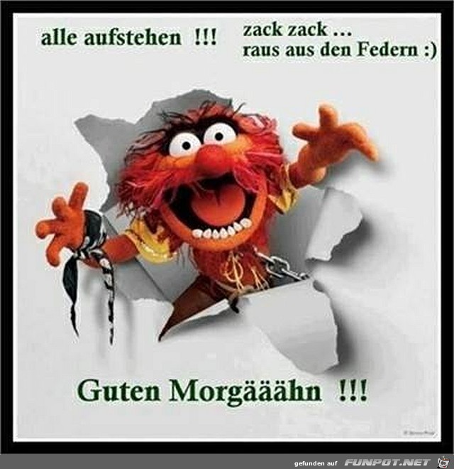 alle aufstehen!...