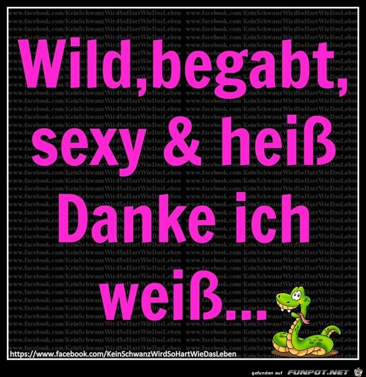 Wild Wild