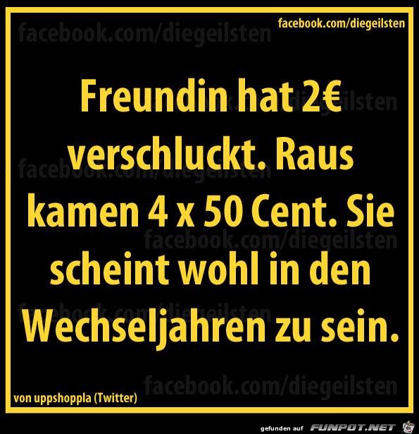 Wechseljahren Wechseljahren
