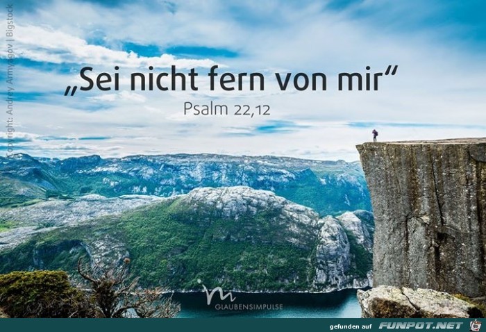 psalm 22 12