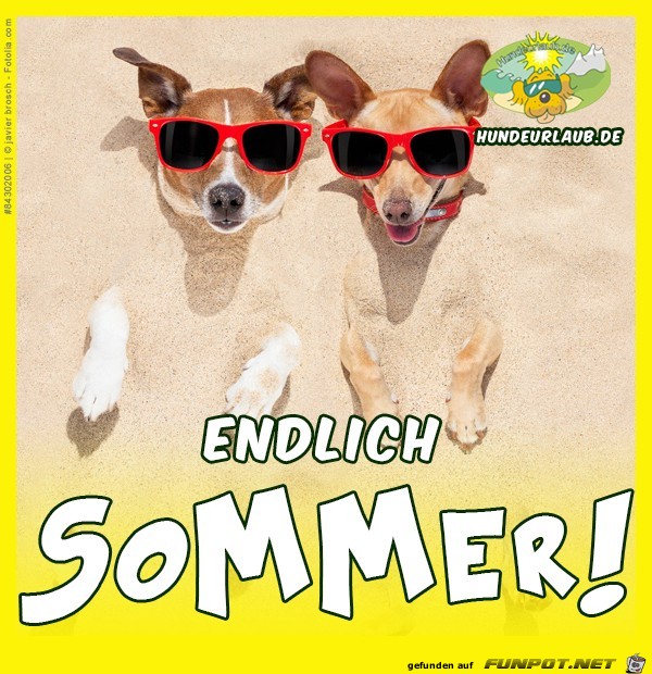 Endlich Sommer