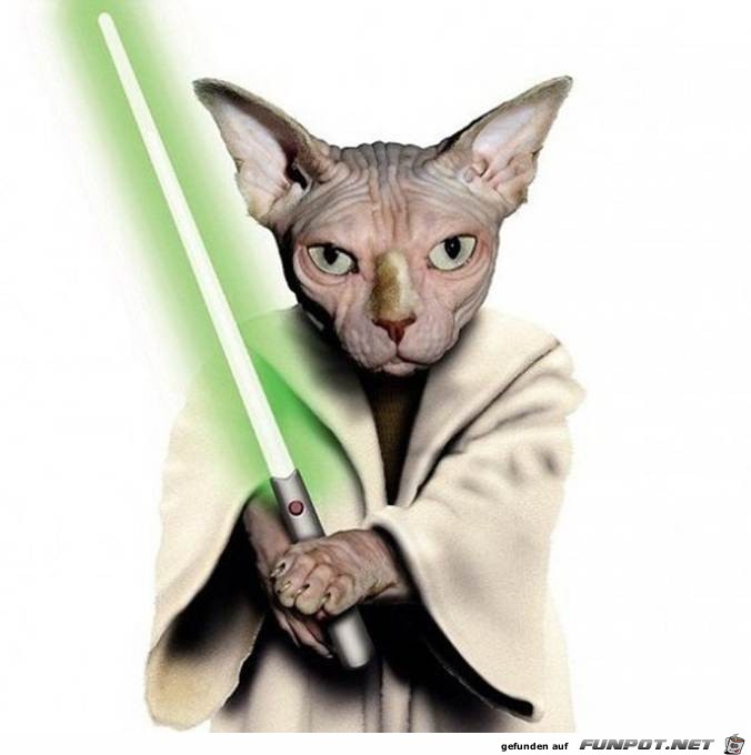 Yoda Yoda