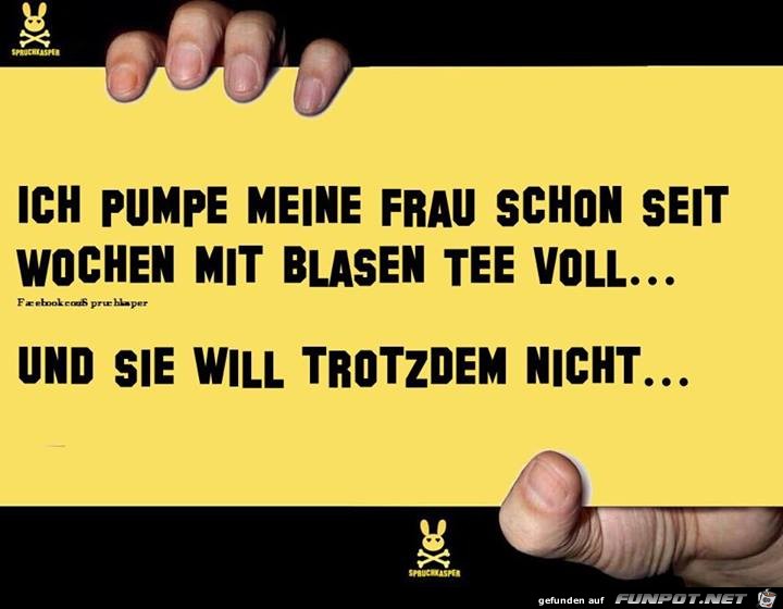 klasse Sprche und Witze!