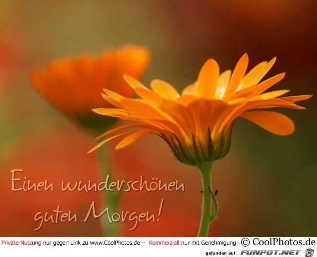 Einen wunderschoenen Einen wunderschoenen