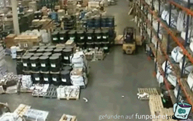 5678455 5678455