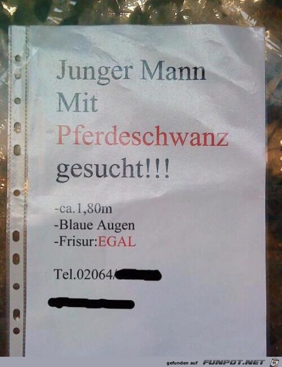 ein paar echt gute witzige Bilder