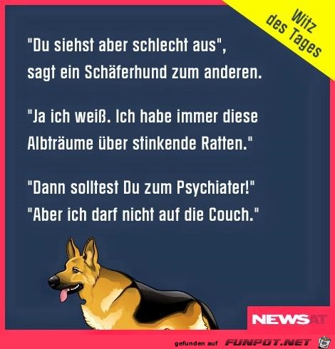 Couch Couch