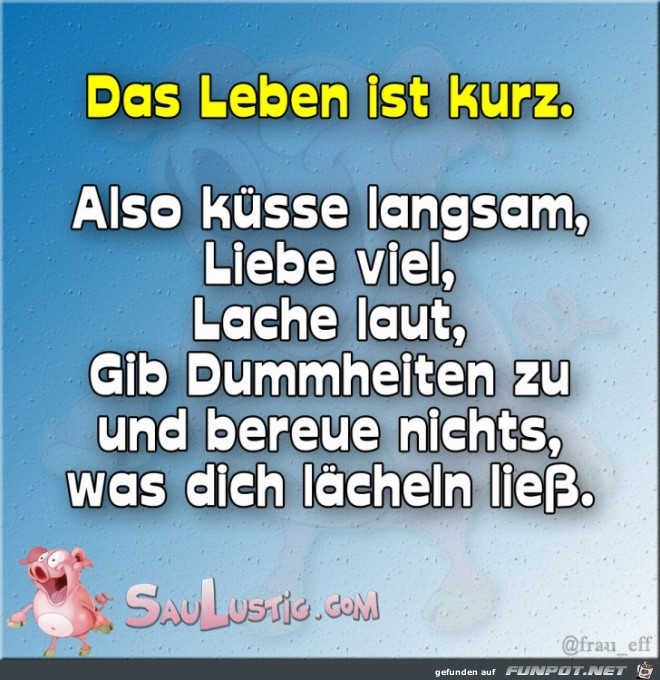 Das Leben ist kurz Das Leben ist kurz