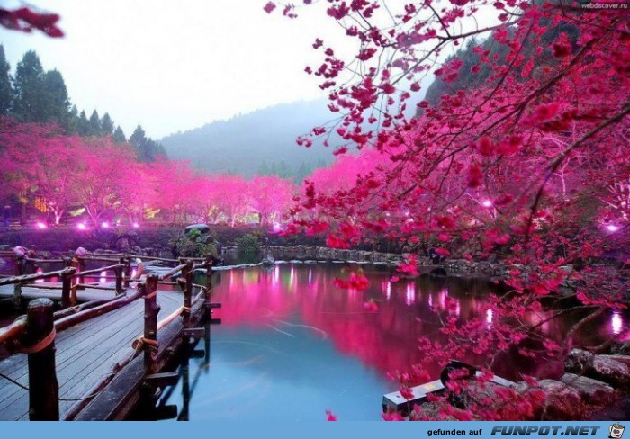 Awesome Pictures 24 Awesome Pictures 24