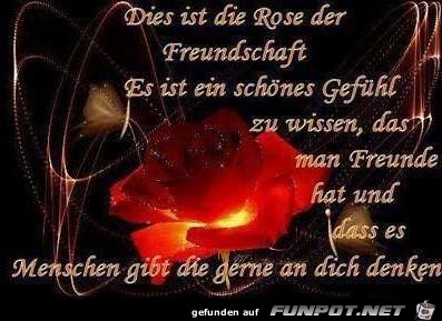 Das ist die Rose