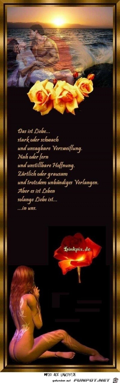 das ist liebe das ist liebe