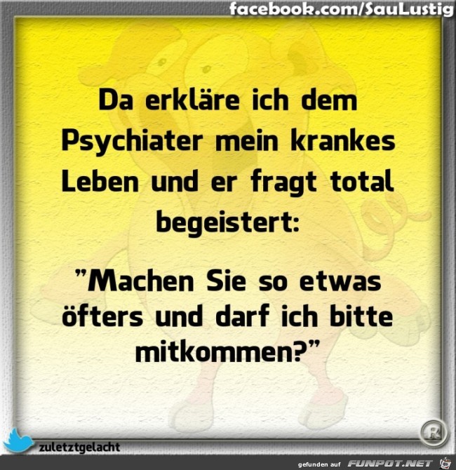 Ich erklaere dem Psychiater mein Leben Ich erklaere dem Psychiater mein Leben