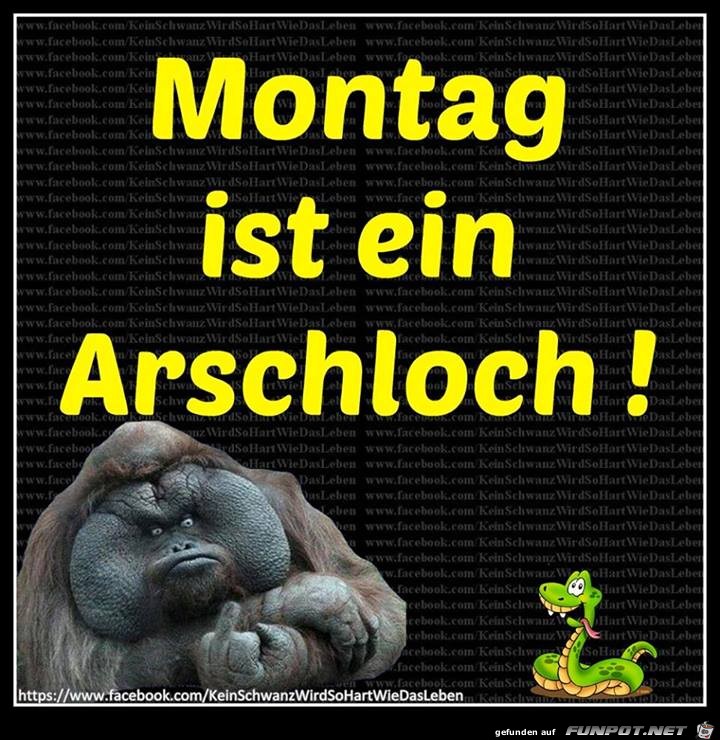Montag ist Montag ist