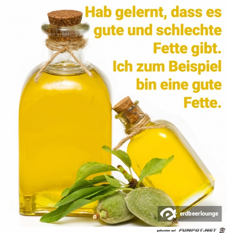 Hab gelernt dass es gute und schlechte Fette gibt Hab gelernt dass es gute und schlechte Fette gibt