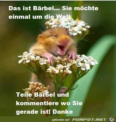 Das ist Baerbel Das ist Baerbel