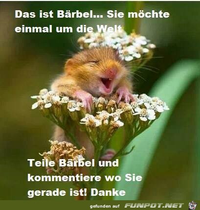 Das ist Baerbel