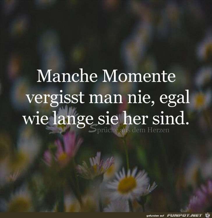 Manche Momente Manche Momente