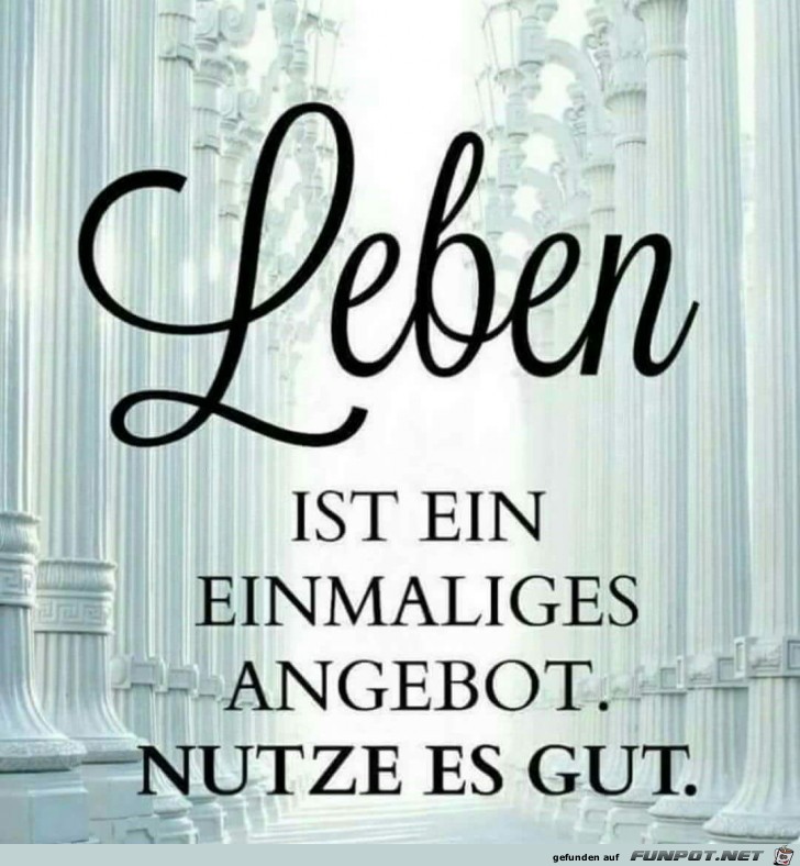 Leben ist ein einmaliges Angebot