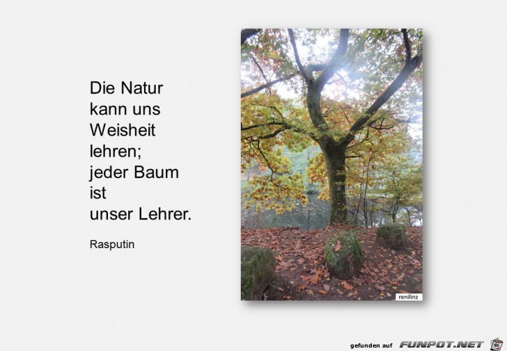 Die Natur