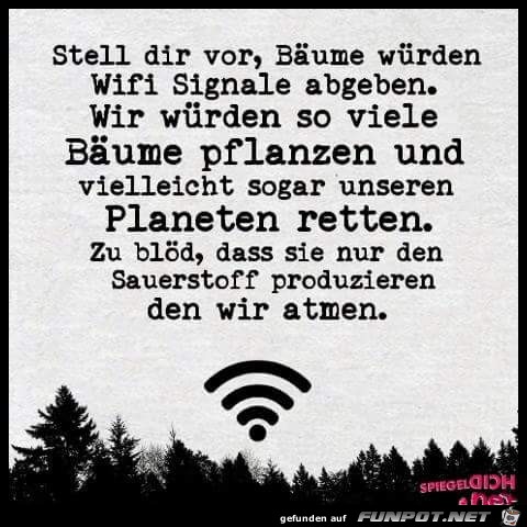 Bäume Bäume