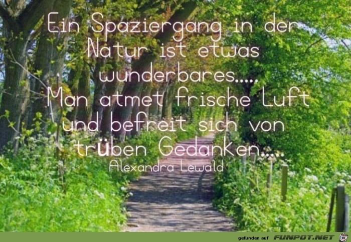 Ein Spaziergang in der Natur