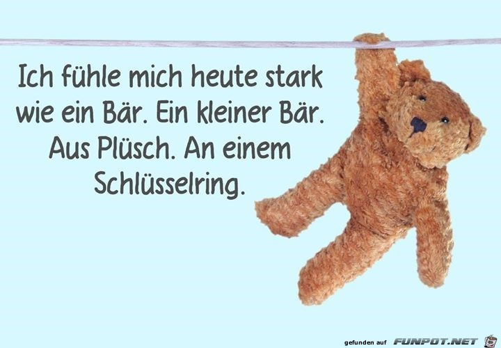 WIE EIN BAeR WIE EIN BAeR