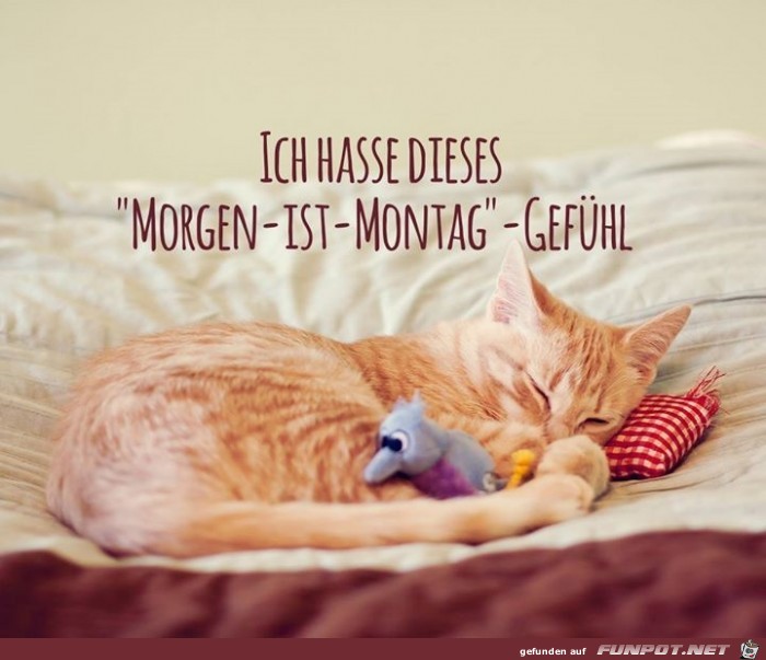 Morgen-ist-montag