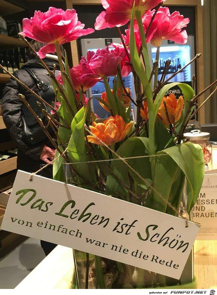 das Leben ist schoen