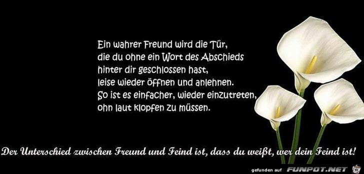 Ein guter freund Ein guter freund